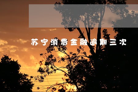 苏宁消费金融逾期三次 苏宁消费金融逾期三次