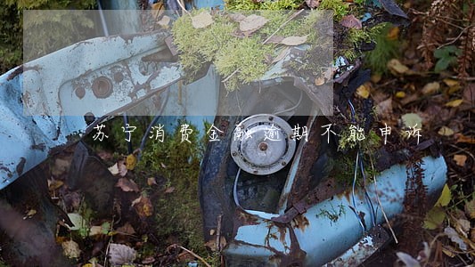 苏宁消费金融逾期不能申诉 苏宁消费金融逾期不能申诉