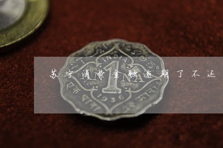 苏宁消费金融逾期了不还的人多 苏宁消费金融逾期了不还的人多