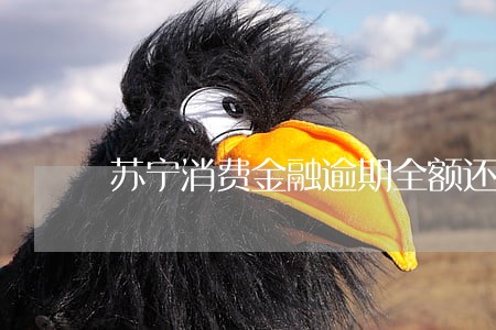 苏宁消费金融逾期全额还款吗 苏宁消费金融逾期全额还款吗