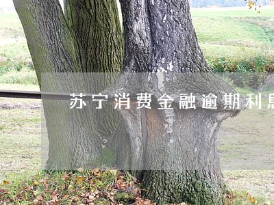 苏宁消费金融逾期利息 苏宁消费金融逾期利息