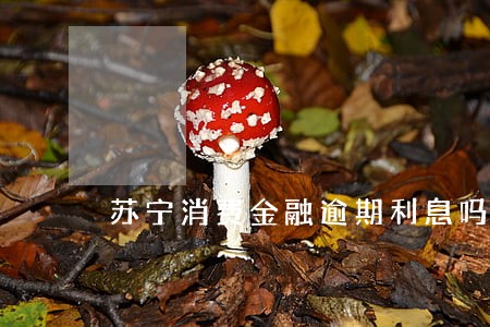 苏宁消费金融逾期利息吗 苏宁消费金融逾期利息吗