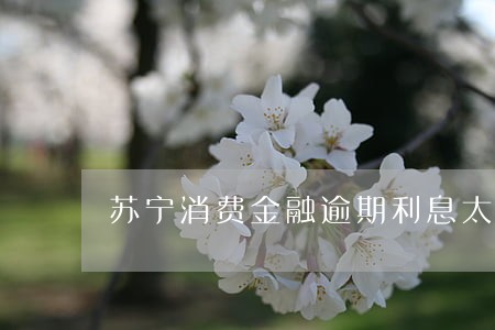 苏宁消费金融逾期利息太高了 苏宁消费金融逾期利息太高了