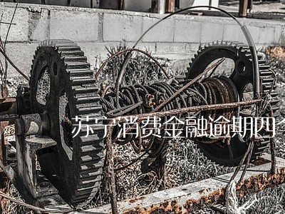 苏宁消费金融逾期四个月 苏宁消费金融逾期四个月