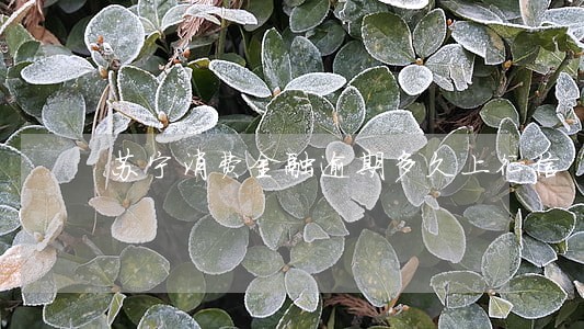 苏宁消费金融逾期多久上征信 苏宁消费金融逾期多久上征信