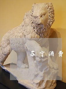 苏宁消费金融逾期影响借呗吗 苏宁消费金融逾期影响借呗吗