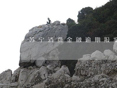 苏宁消费金融逾期报案 苏宁消费金融逾期报案