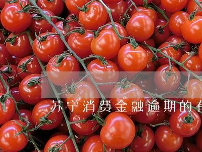 苏宁消费金融逾期的有没有 苏宁消费金融逾期的有没有