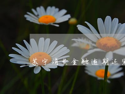 苏宁消费金融逾期还完 苏宁消费金融逾期还完