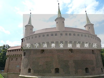 苏宁消费金融逾期还本金消除呆账 苏宁消费金融逾期还本金消除呆账