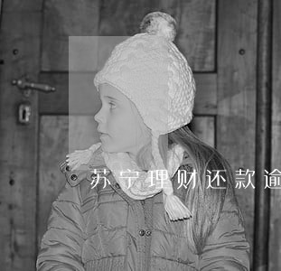 苏宁理财还款逾期 苏宁理财还款逾期