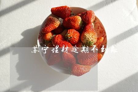 苏宁理财逾期不到账