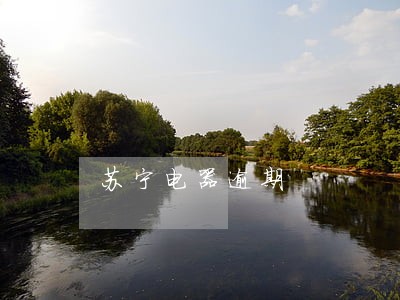 苏宁电器逾期 苏宁电器逾期