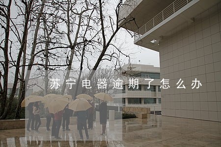 苏宁电器逾期了怎么办 苏宁电器逾期了怎么办