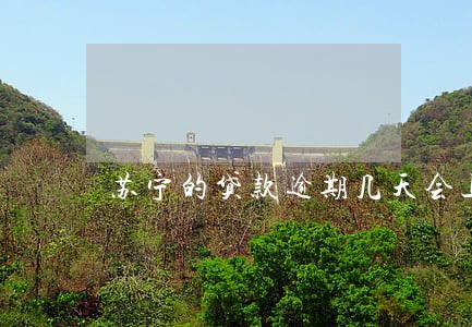 苏宁的贷款逾期几天会上征信 苏宁的贷款逾期几天会上征信