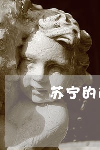 苏宁的逾期征信怎么删除 苏宁的逾期征信怎么删除