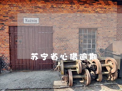 苏宁省心借逾期