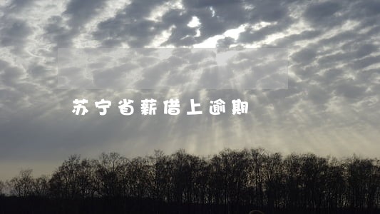 苏宁省薪借上逾期 苏宁省薪借上逾期