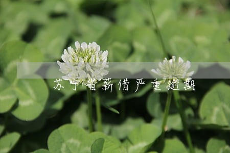 苏宁省薪借严重逾期 苏宁省薪借严重逾期