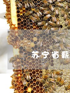 苏宁省薪借逾期一天影响大吗 苏宁省薪借逾期一天影响大吗