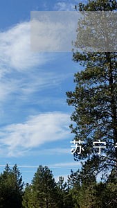 苏宁省薪借逾期一天算逾期吗 苏宁省薪借逾期一天算逾期吗