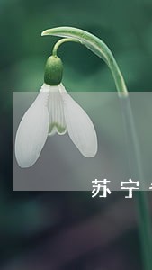 苏宁省薪借逾期了会爆通讯录吗 苏宁省薪借逾期了会爆通讯录吗