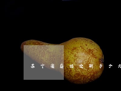 苏宁省薪借逾期多少天 苏宁省薪借逾期多少天