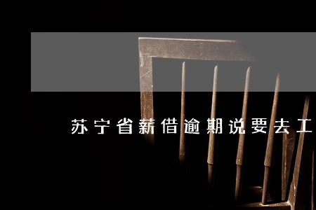 苏宁省薪借逾期说要去工作单位 苏宁省薪借逾期说要去工作单位