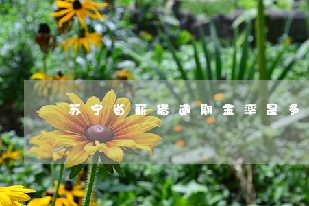 苏宁省薪借逾期金率是多少 苏宁省薪借逾期金率是多少