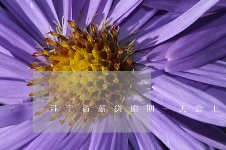 苏宁省薪贷逾期一天会上征信吗 苏宁省薪贷逾期一天会上征信吗