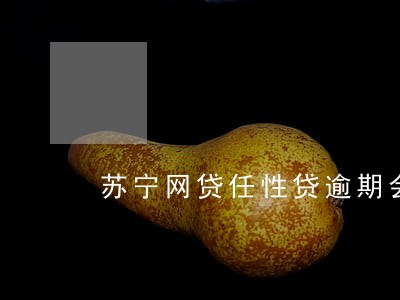 苏宁网贷任性贷逾期会被起诉吗 苏宁网贷任性贷逾期会被起诉吗