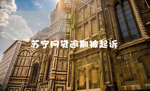 苏宁网贷逾期被起诉 苏宁网贷逾期被起诉