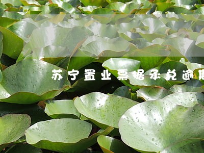 苏宁置业票据承兑逾期 苏宁置业票据承兑逾期