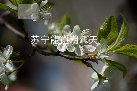 苏宁能逾期几天 苏宁能逾期几天