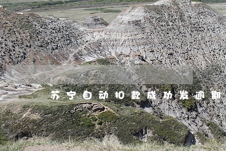 苏宁自动扣款成功发逾期短信 苏宁自动扣款成功发逾期短信