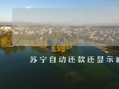 苏宁自动还款还显示逾期 苏宁自动还款还显示逾期