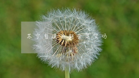 苏宁自提逾期会退货吗 苏宁自提逾期会退货吗