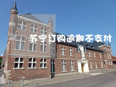 苏宁订购逾期不支付 苏宁订购逾期不支付