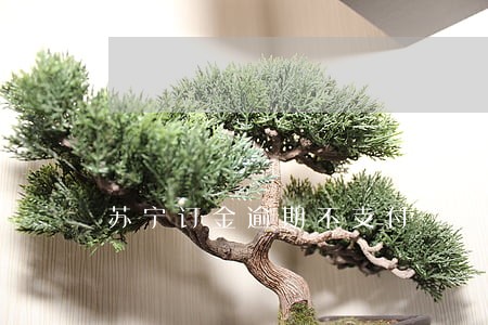 苏宁订金逾期不支付 苏宁订金逾期不支付