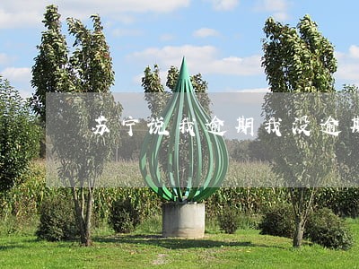 苏宁说我逾期我没逾期是怎么回事 苏宁说我逾期我没逾期是怎么回事
