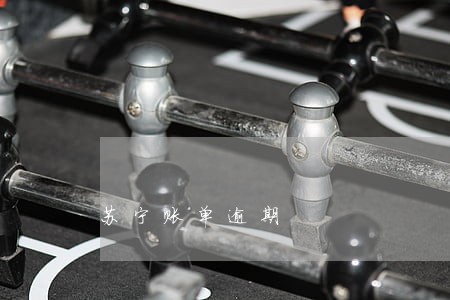 苏宁账单逾期 苏宁账单逾期