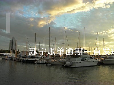苏宁账单逾期一直发短信 苏宁账单逾期一直发短信