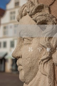 苏宁账号被盗逾期 苏宁账号被盗逾期