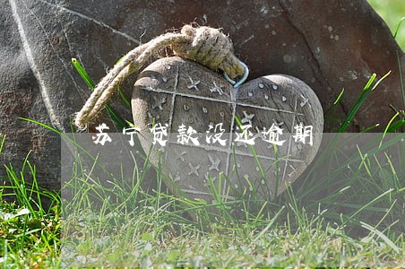 苏宁贷款没还逾期 苏宁贷款没还逾期