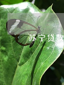 苏宁贷款逾期一天会影响征信吗 苏宁贷款逾期一天会影响征信吗
