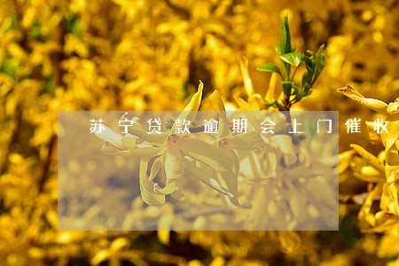 苏宁贷款逾期会上门催收么 苏宁贷款逾期会上门催收么