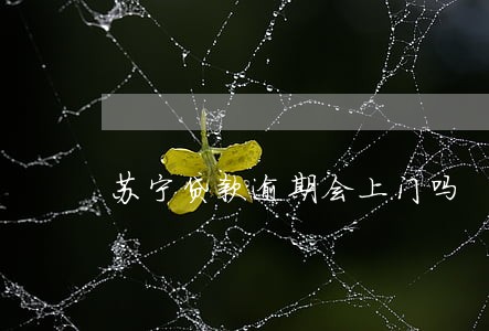 苏宁贷款逾期会上门吗 苏宁贷款逾期会上门吗