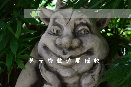 苏宁贷款逾期催收 苏宁贷款逾期催收