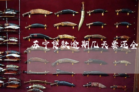 苏宁贷款逾期几天要还全款 苏宁贷款逾期几天要还全款