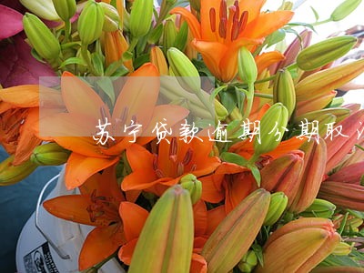 苏宁贷款逾期分期取消 苏宁贷款逾期分期取消